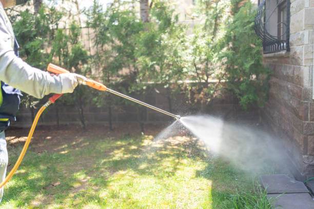 Seasonal Pest Control (e.g., summer mosquitoes, winter rodents) in Clifton, CO